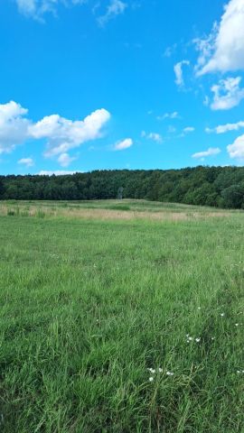 Działka rolno-budowlana Witanowice, ul. Kościelna. Zdjęcie 1