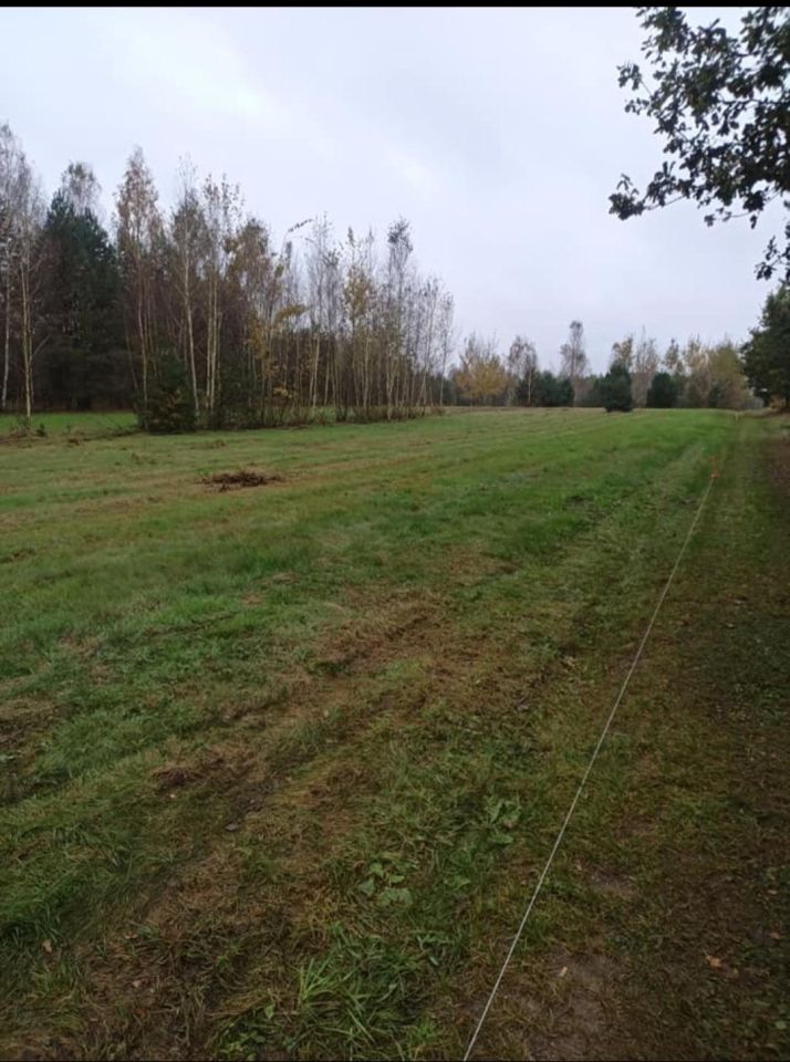 Działka budowlana Kłoda Monastyrek, ul. Brzozowa. Zdjęcie 6