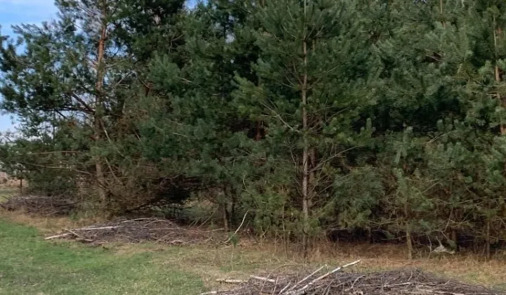 Działka rolno-budowlana Wola Polska