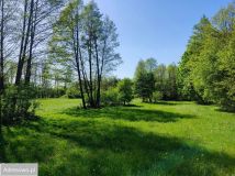 Działka siedliskowa Skudzawy. Zdjęcie 1