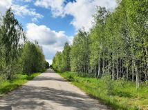 Działka rolno-budowlana Nowosady Dubińska Ferma. Zdjęcie 4