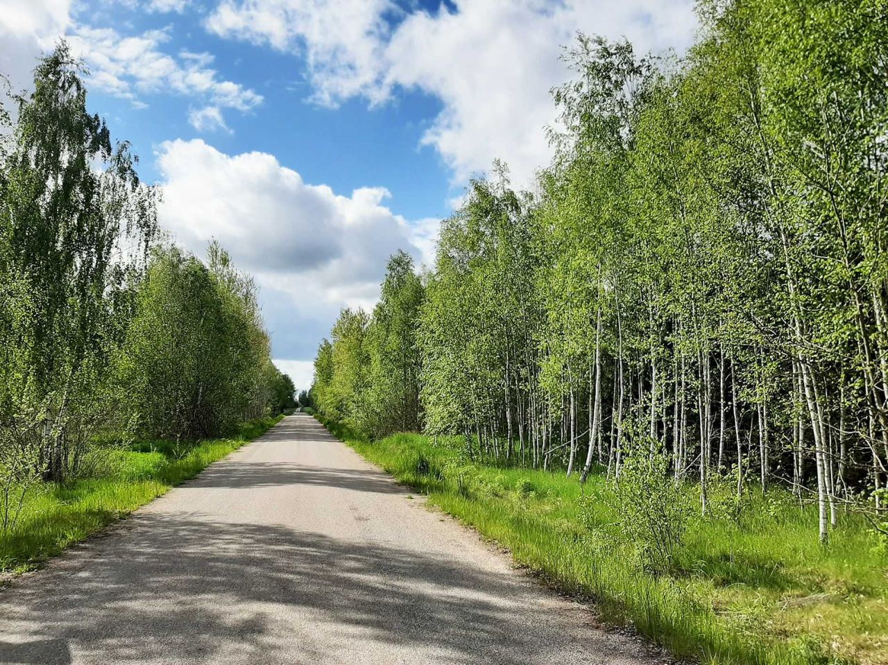 Działka rolno-budowlana Nowosady Dubińska Ferma. Zdjęcie 5
