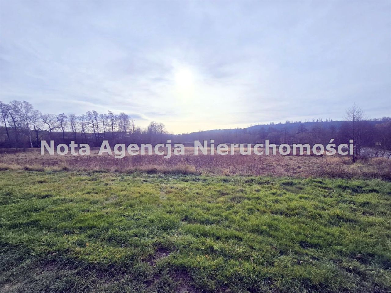 Działka inwestycyjna Jabłów. Zdjęcie 11