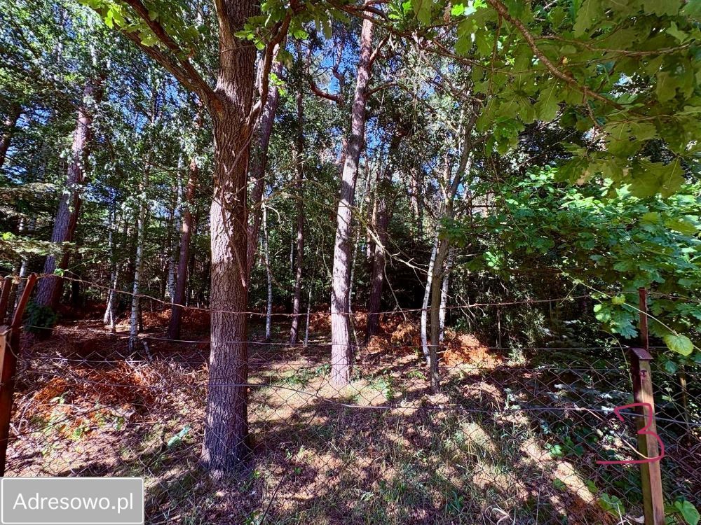 Działka budowlana Zwódne. Zdjęcie 9