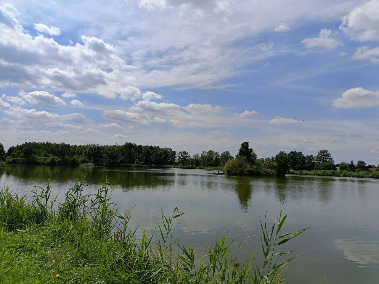 Działka rekreacyjna Szczekociny. Zdjęcie 4