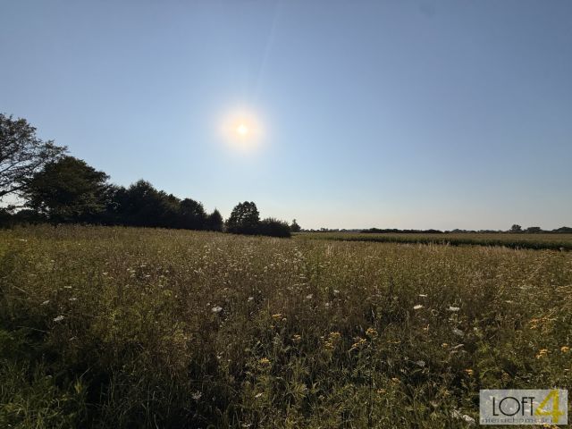 Działka rolna Mędrzechów. Zdjęcie 13