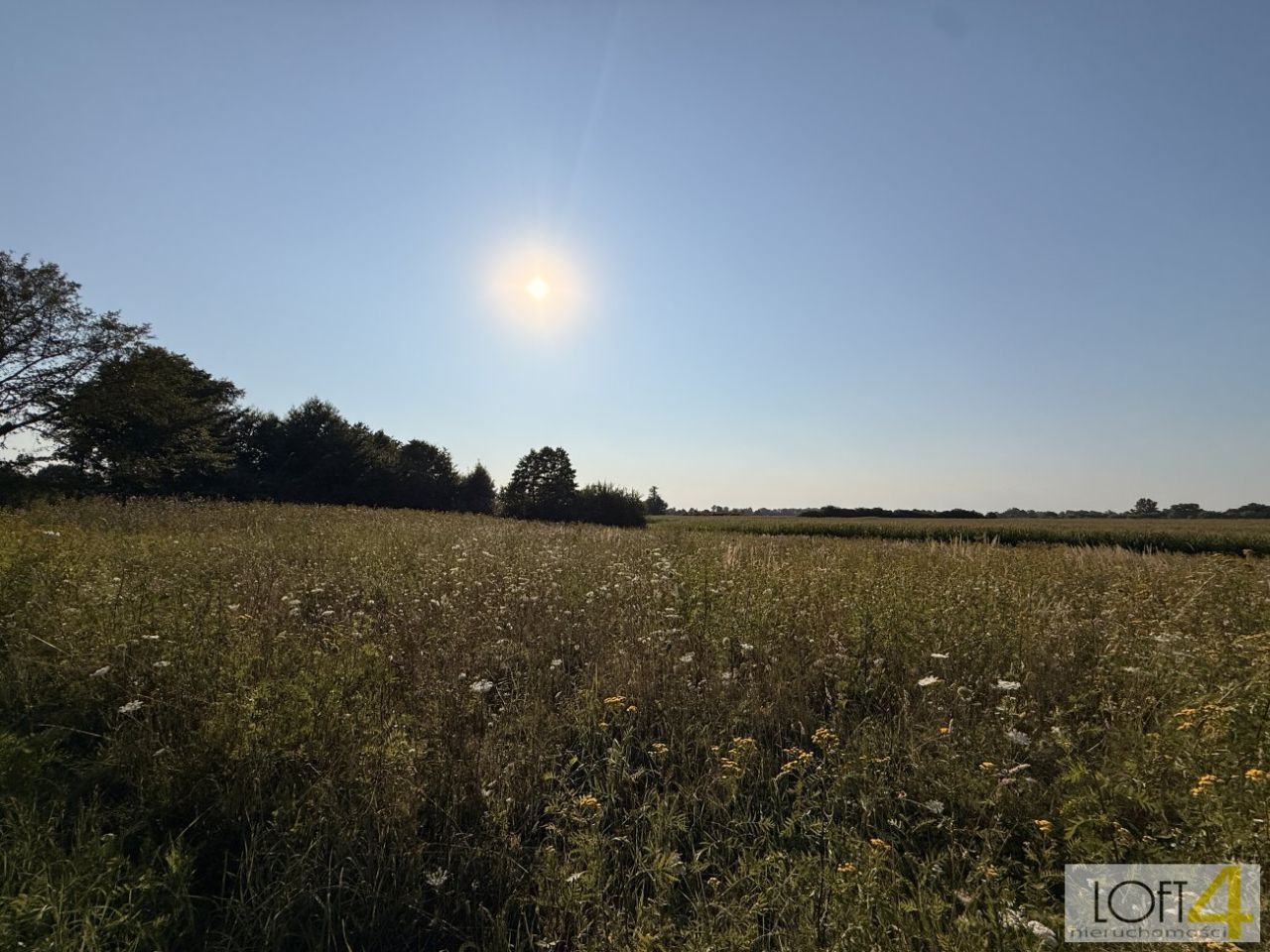 Działka rolna Mędrzechów. Zdjęcie 13