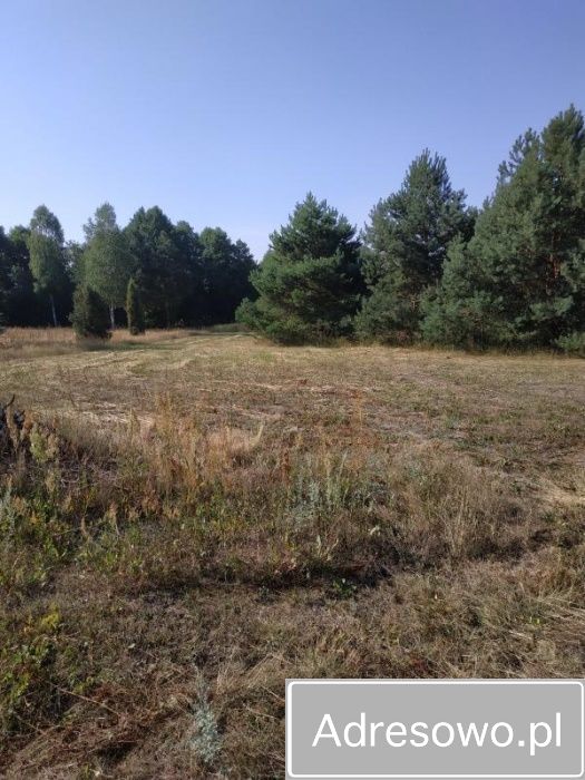 Działka budowlana Kąty. Zdjęcie 3