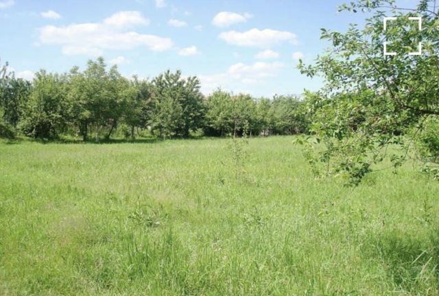 Działka budowlana Minkowice Oławskie. Zdjęcie 1