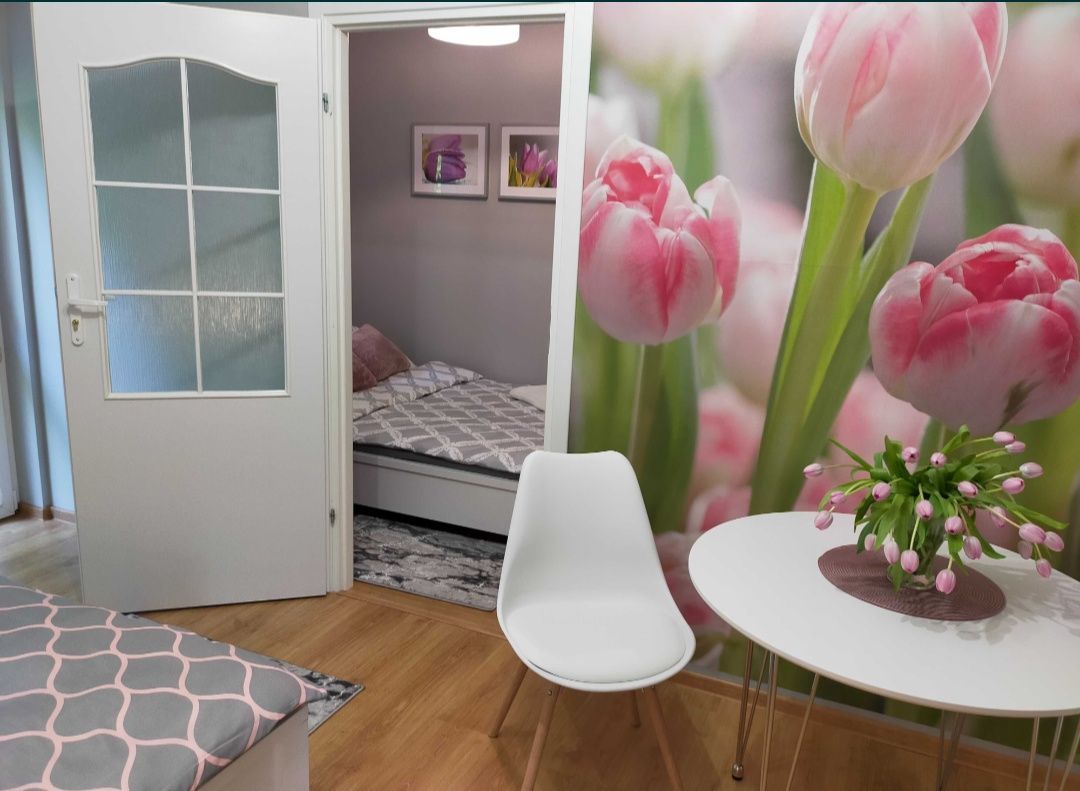 Mieszkanie 2-pokojowe Kazimierz Dolny Dąbrówka. Zdjęcie 2