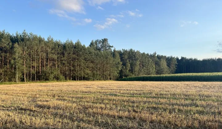 Działka rolna Niziołki-Dobki