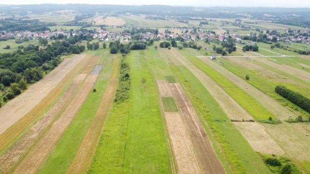 Działka budowlana Jodłówka. Zdjęcie 10