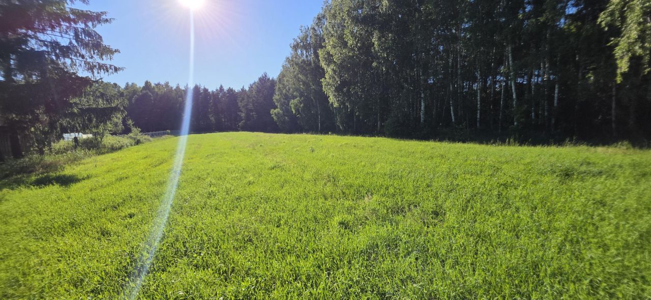 Działka budowlana Jarząbka Czary. Zdjęcie 6