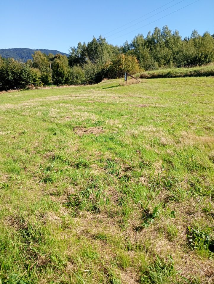Działka budowlana Gruszowiec Do Jakubca. Zdjęcie 5