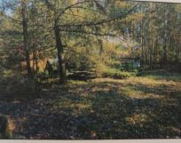 Działka leśna Moczalec. Zdjęcie 4