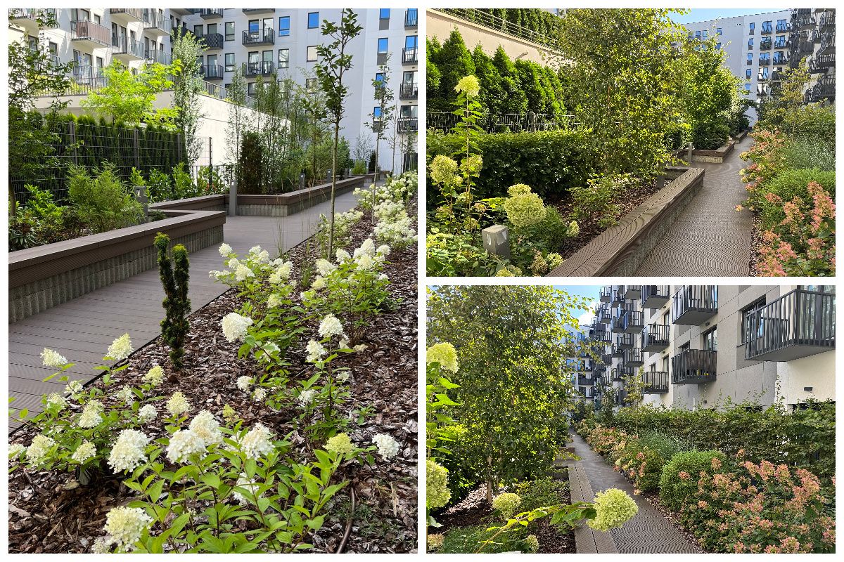 Mieszkanie 1-pokojowe Szczecin Śródmieście. Zdjęcie 16