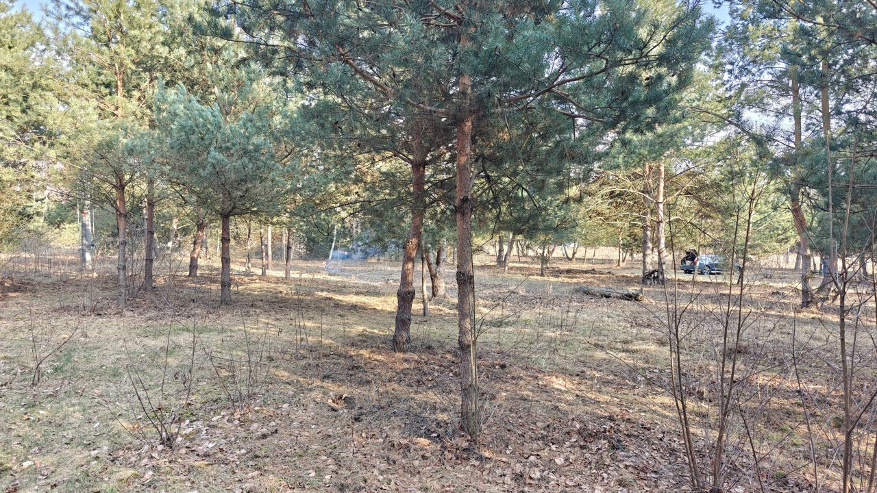 Działka budowlana Nowe Budy, ul. Sosnowa. Zdjęcie 7