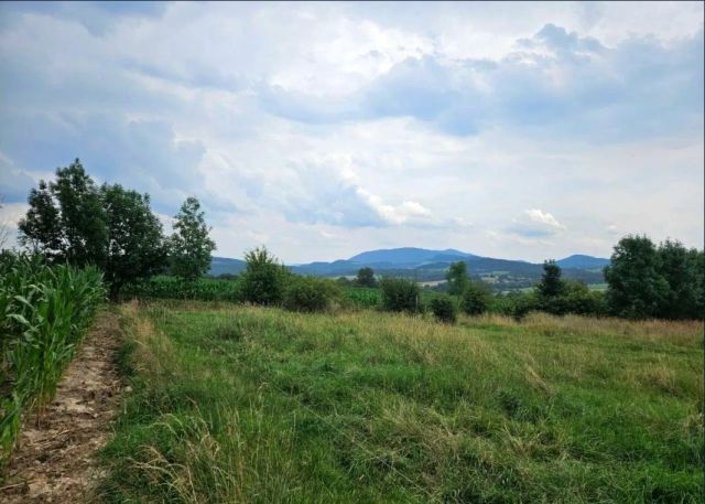 Działka rolna Cieszyn, Puńców. Zdjęcie 1