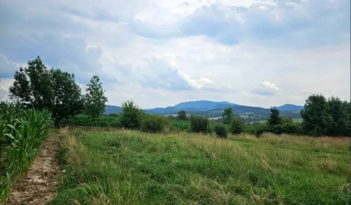 Działka rolna Cieszyn, Puńców