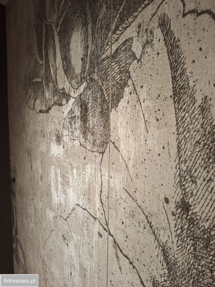 Mieszkanie 3-pokojowe Dąbrowa Górnicza Strzemieszyce Wielkie, ul. Grabocińska. Zdjęcie 13