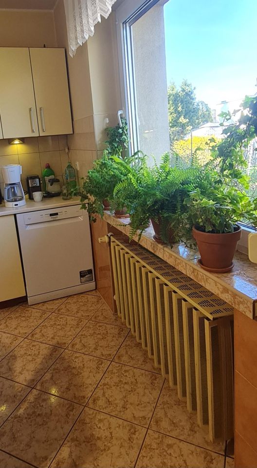 bliźniak, 4 pokoje Kędzierzyn-Koźle Kłodnica, ul. Kasztanowa. Zdjęcie 29