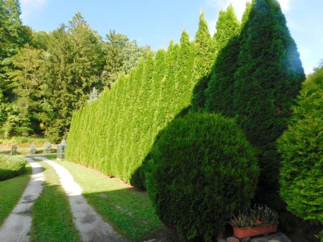 dworek, 4 pokoje Wilkanów. Zdjęcie 12