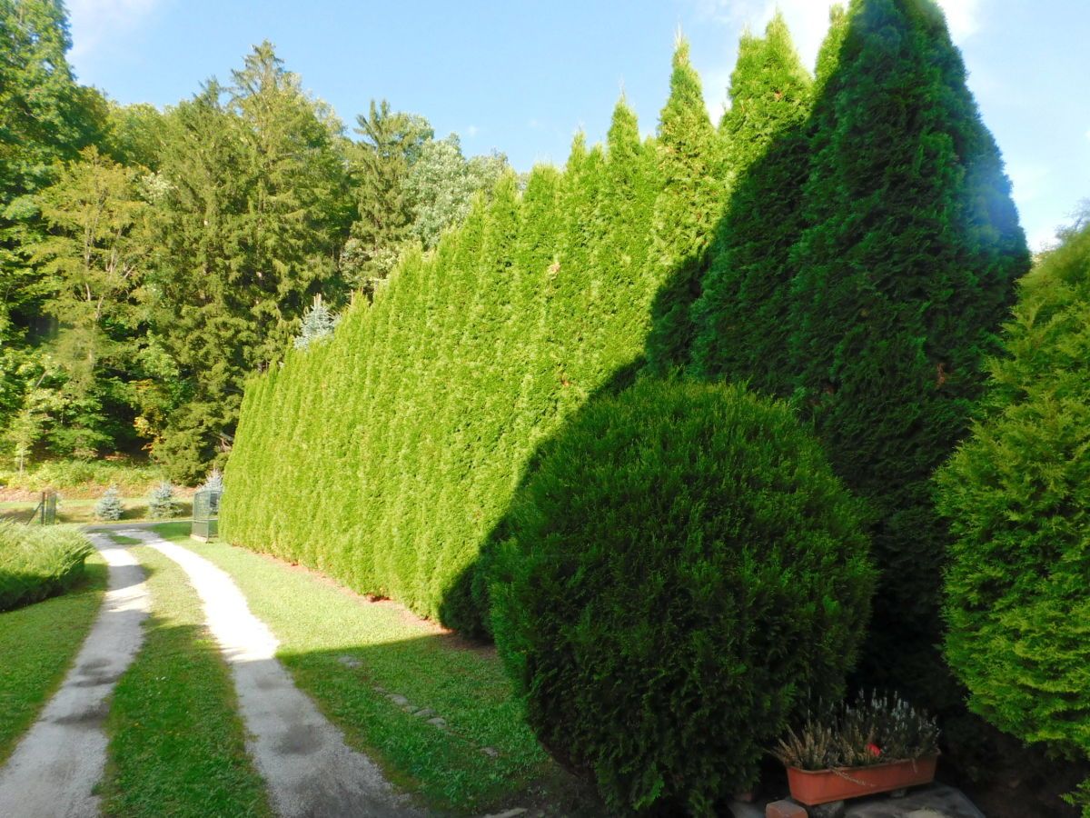 dworek, 4 pokoje Wilkanów. Zdjęcie 12