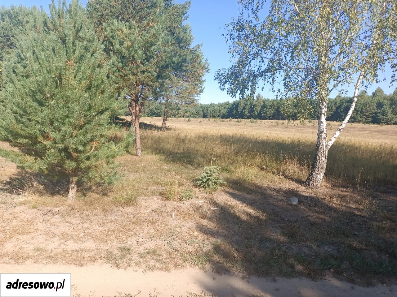 Działka rolno-budowlana Koziki. Zdjęcie 1
