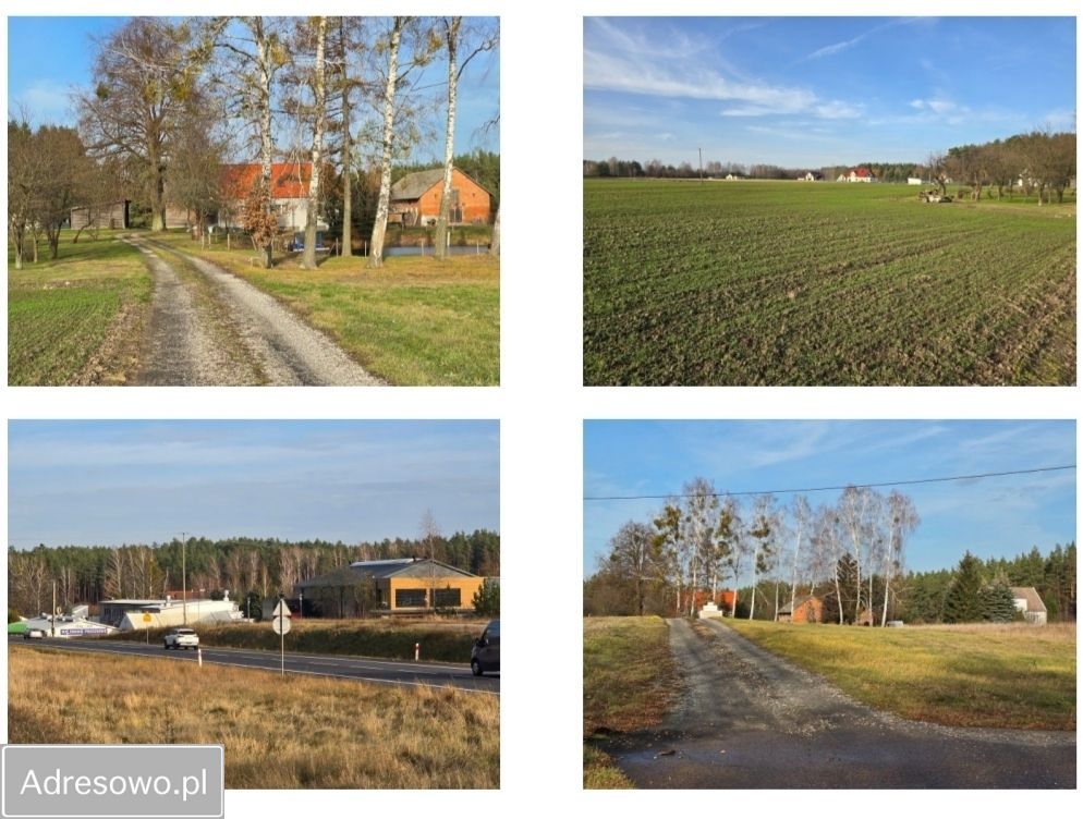 Działka rolna Wójtowo. Zdjęcie 4