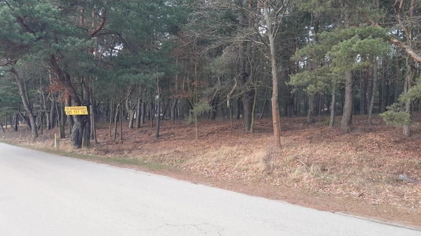 Działka budowlana Skrzeszew, ul. Partyzantów. Zdjęcie 3