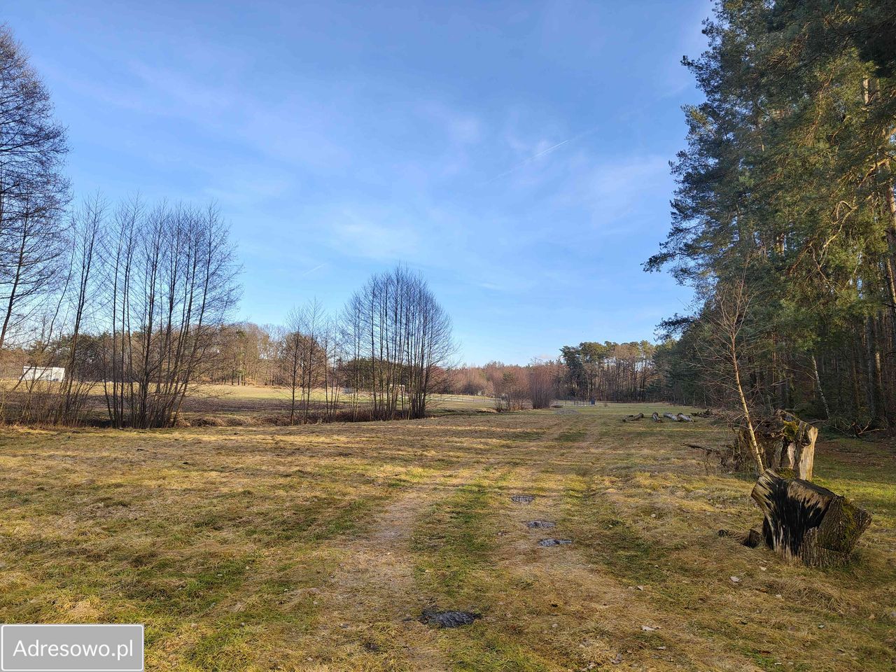 Działka budowlana Biadaszka. Zdjęcie 1