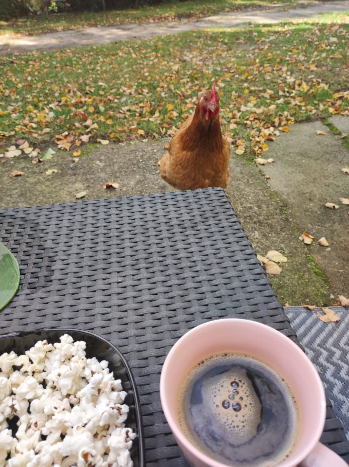 dom wolnostojący, 3 pokoje Bieniów, ul. Górna. Zdjęcie 10