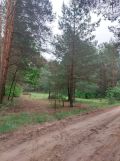 Działka rolno-budowlana Prabuty. Zdjęcie 3