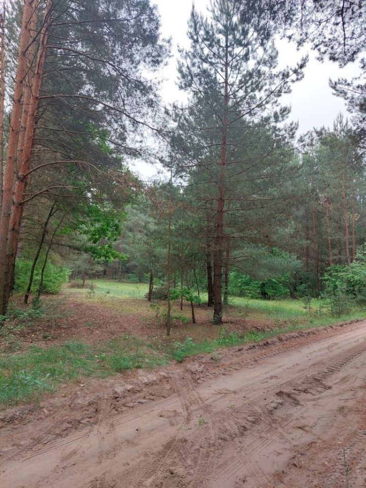 Działka rolno-budowlana Prabuty. Zdjęcie 4
