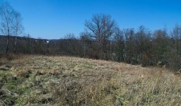 Działka rolno-budowlana Raciborsko