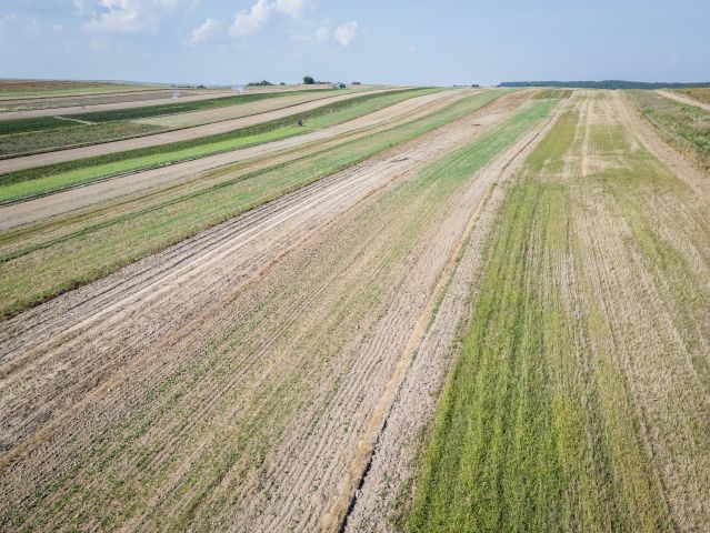 Działka rolno-budowlana Sułoszowa, ul. Wielmoska. Zdjęcie 5