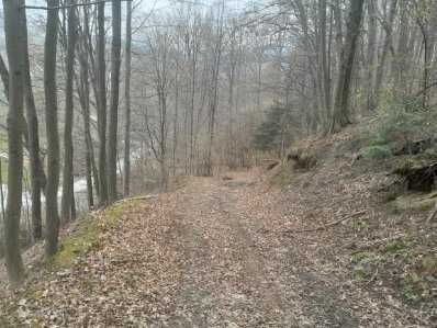 Działka rekreacyjna Bysina. Zdjęcie 5