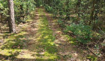 Działka rekreacyjna Przeradowo