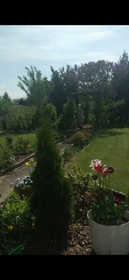 Działka rod Kędzierzyn-Koźle Kędzierzyn, ul. Ogrodowa. Zdjęcie 4