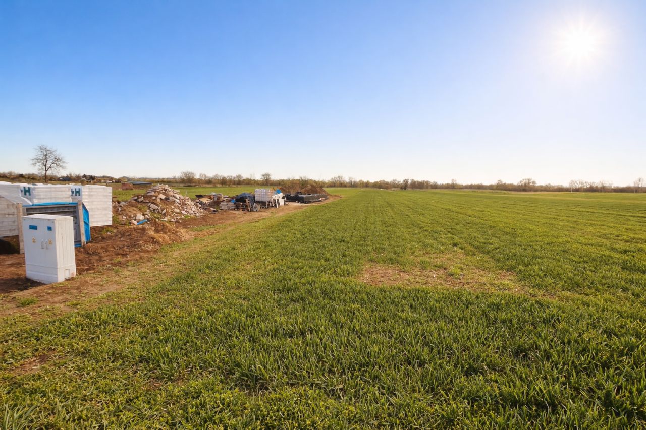 Działka budowlana Gołąb, ul. Powiśle. Zdjęcie 2