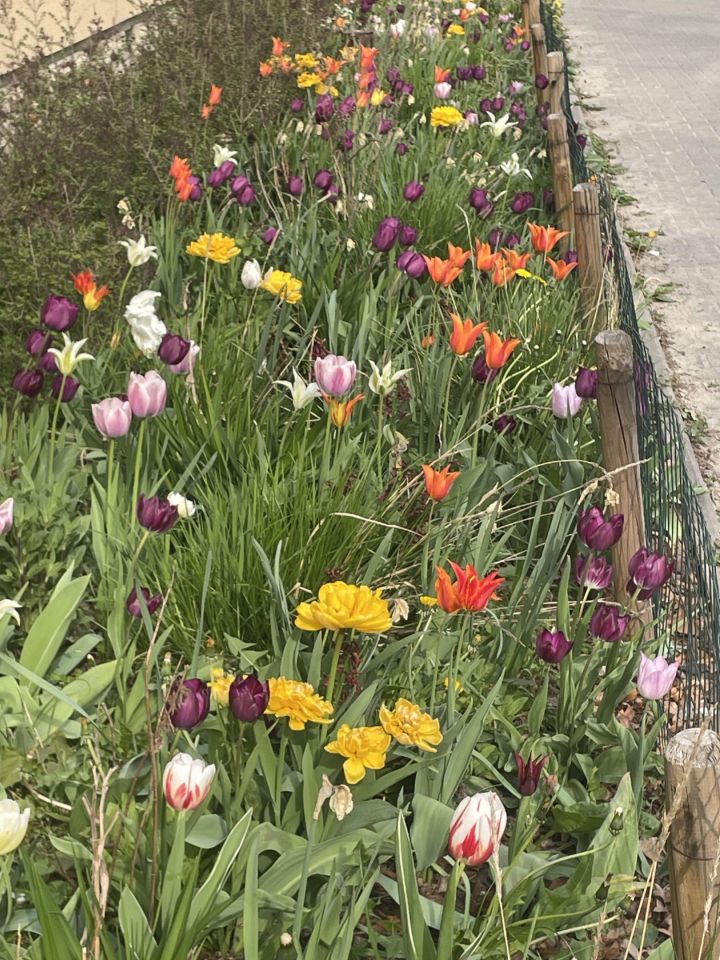 Mieszkanie 2-pokojowe Warszawa Mokotów, Woloska/ Madalinskiego. Zdjęcie 8