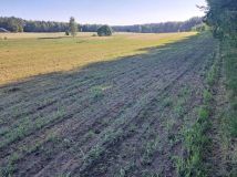 Działka rolno-budowlana Lisiny. Zdjęcie 3