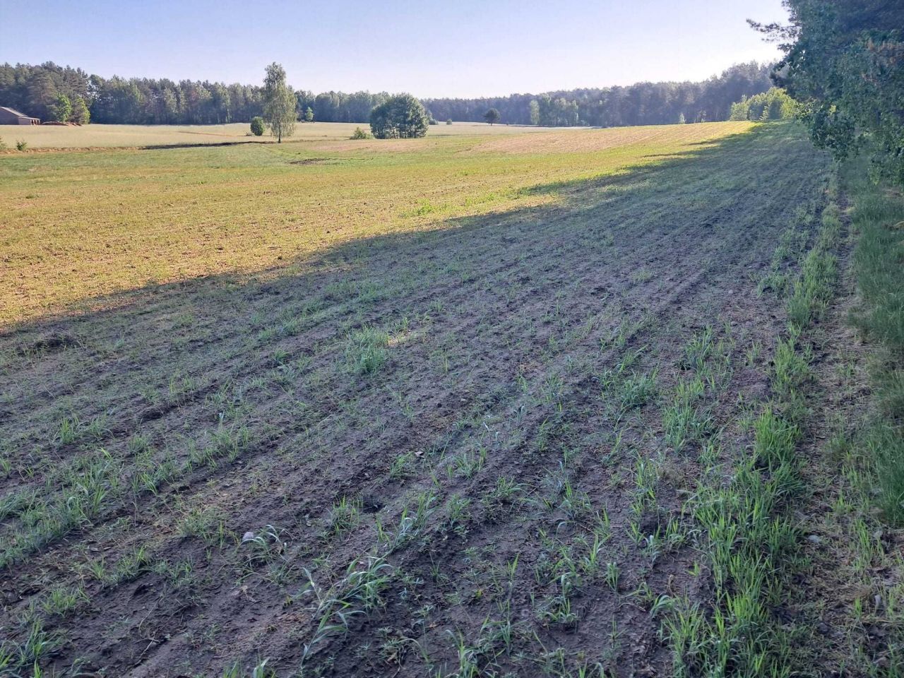 Działka rolno-budowlana Lisiny. Zdjęcie 4