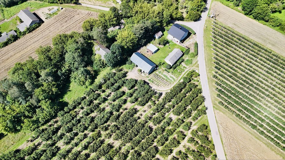Działka rolno-budowlana Pęchowiec. Zdjęcie 7