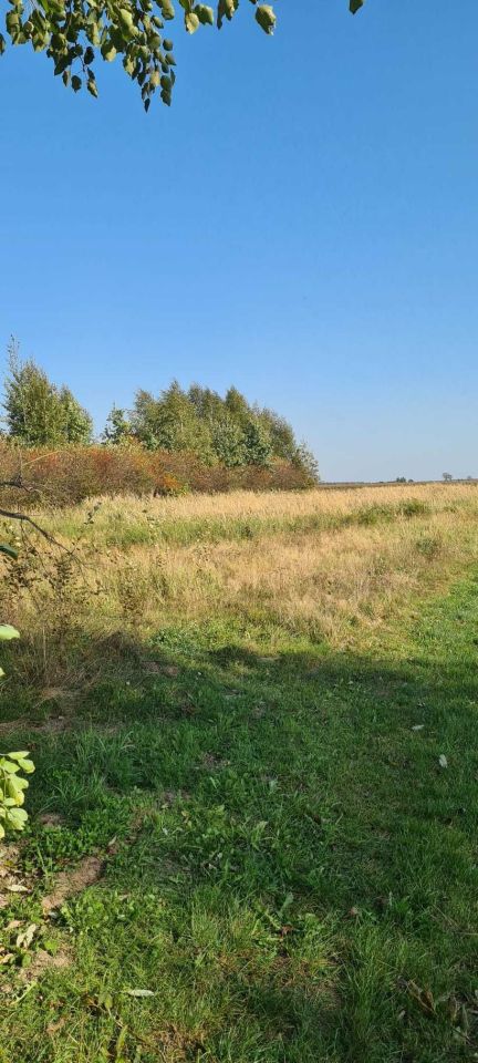 Działka rolna Obliźniak. Zdjęcie 4