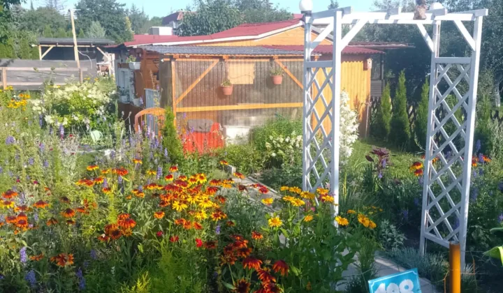 Działka rod Szczytno, ul. Pasymska