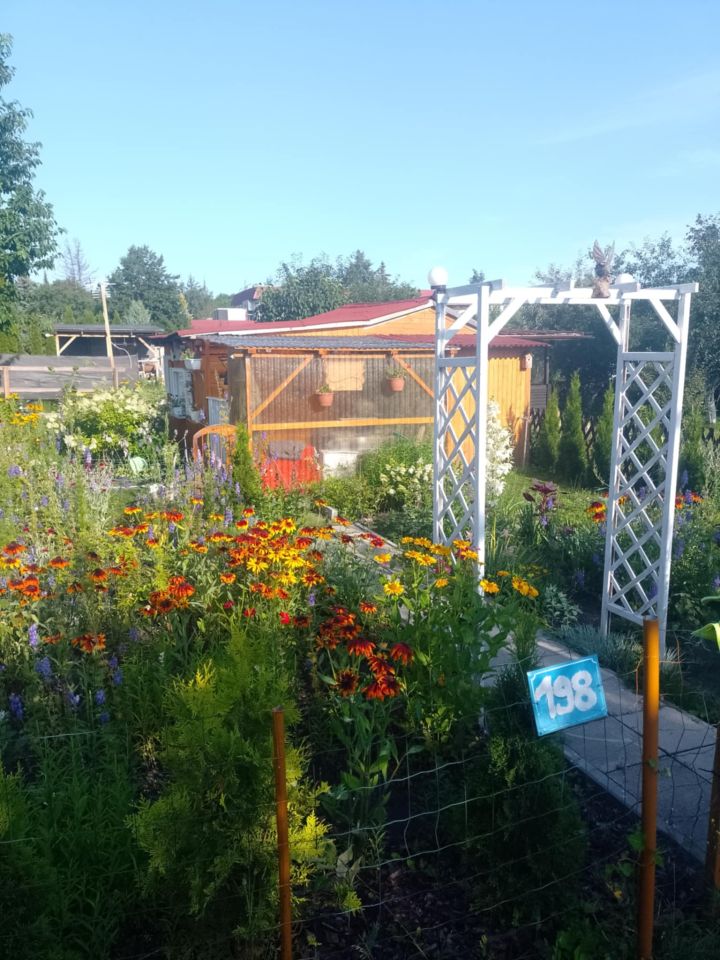 Działka rod Szczytno, ul. Pasymska