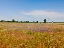 Działka budowlana Kalina. Zdjęcie 3