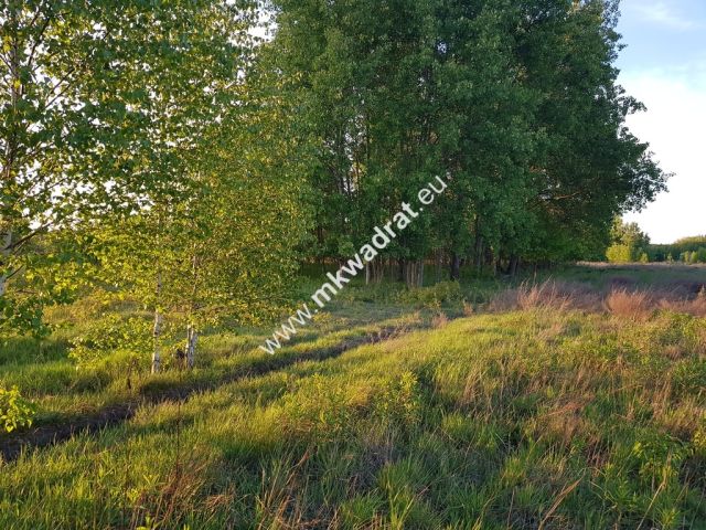 Działka budowlana Radziejowice, ul. Ossolińskich. Zdjęcie 2