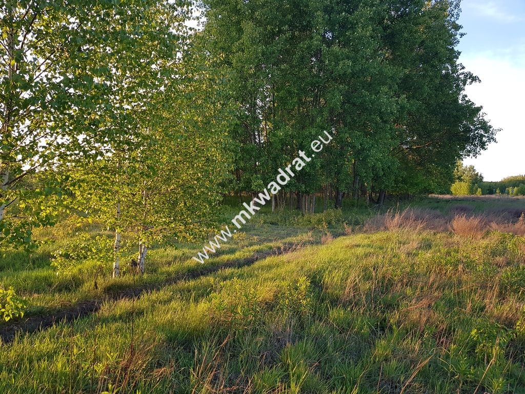 Działka budowlana Radziejowice, ul. Ossolińskich. Zdjęcie 2